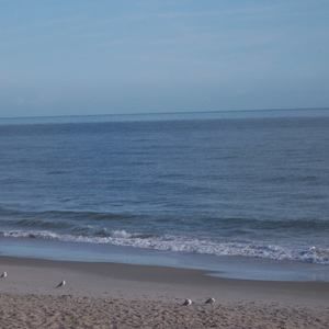 Meet your Posher, Nicholas